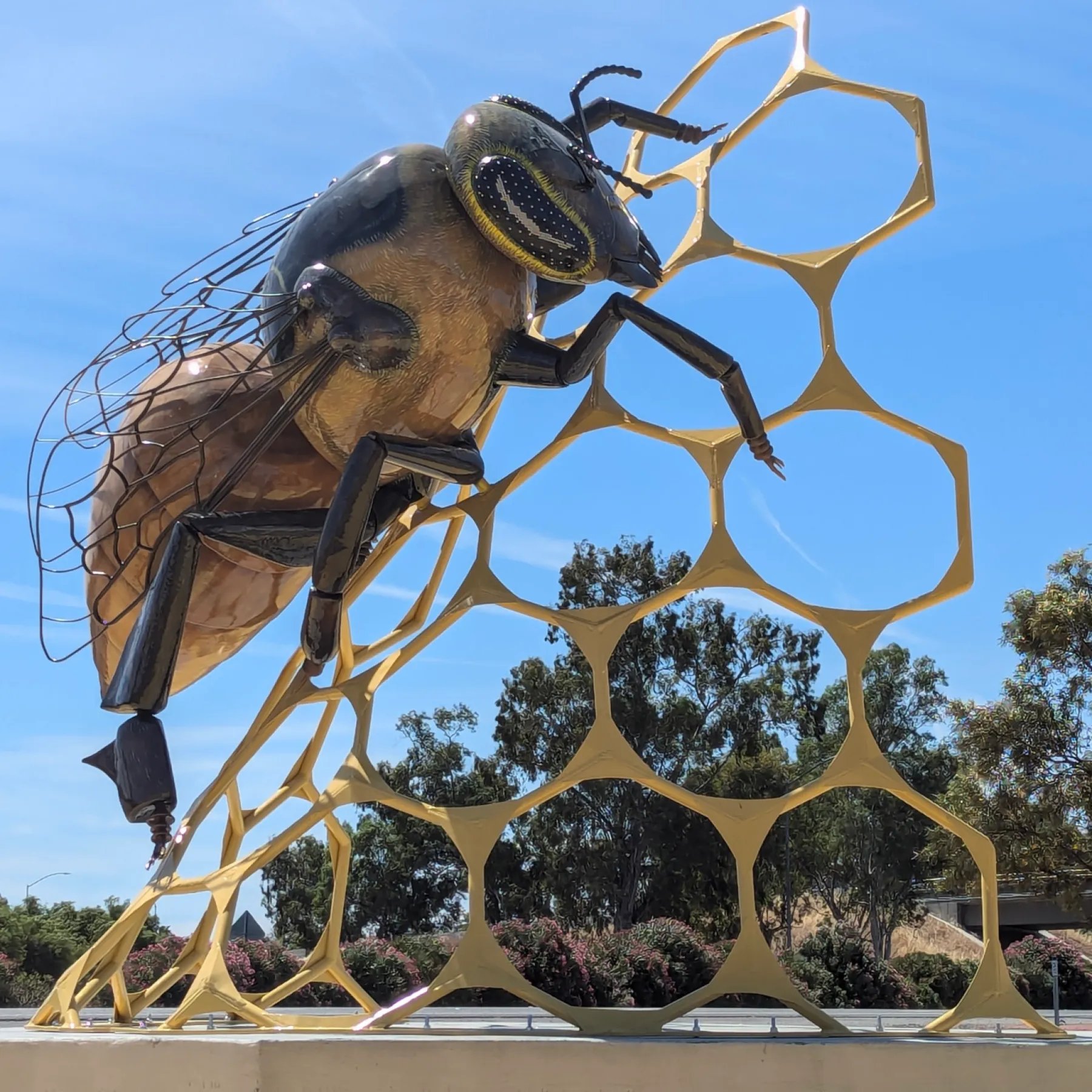 🦋 이타미시 곤충관 (이타미시 콘추칸) 이미지 5